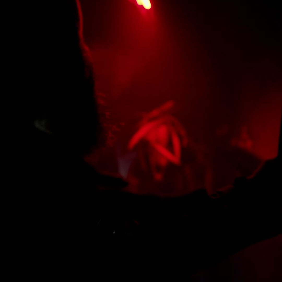 Stag: Screenshot 5